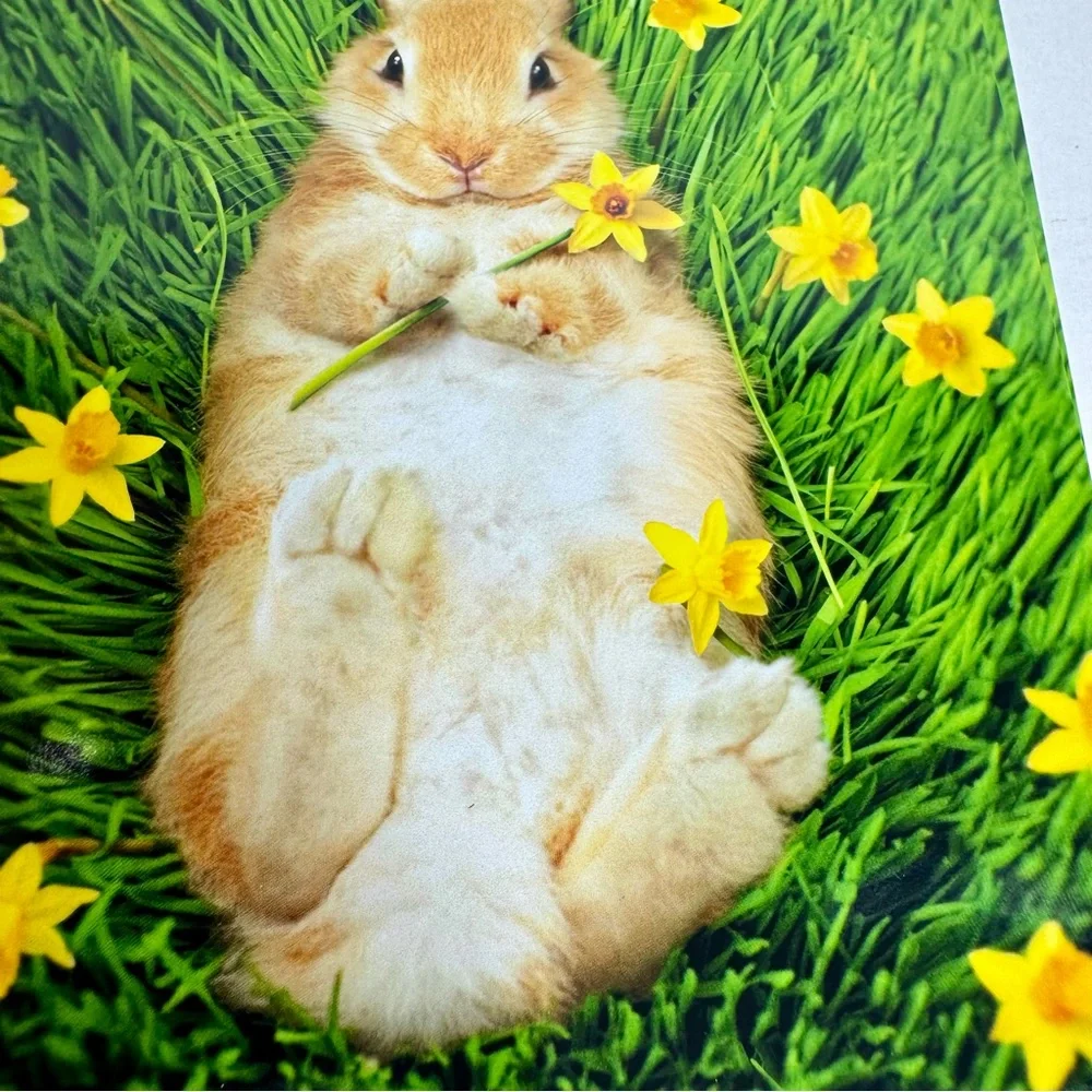 4 Avanti Greeting cards - bunny on back with flowers Holiday: Easter
